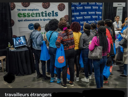 Lunette traductrice intelligente